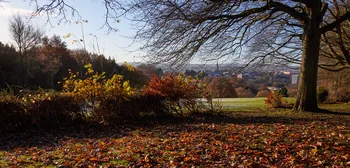 Chesterfield from Tapton park.jpg